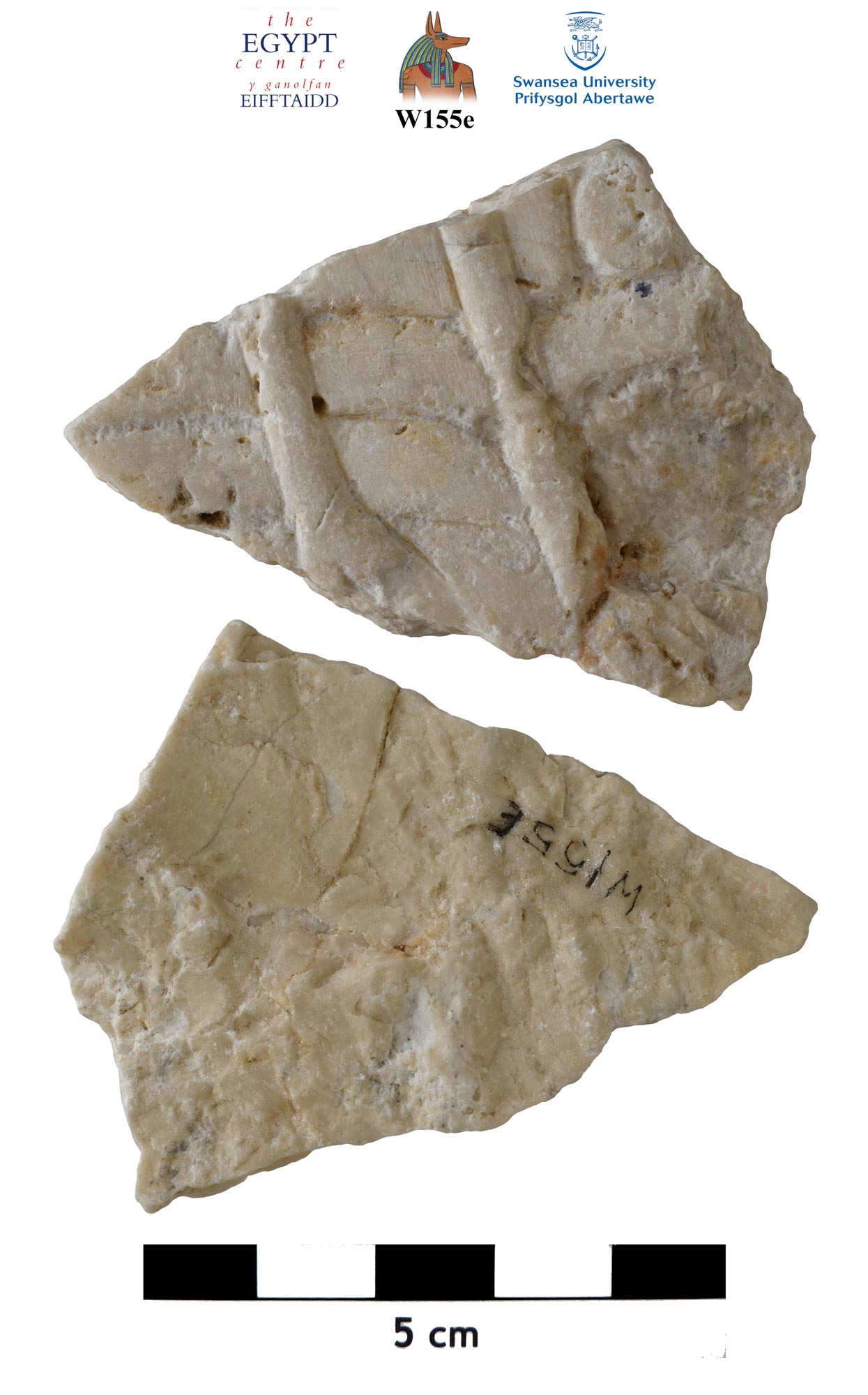 Image for: Limestone fragment